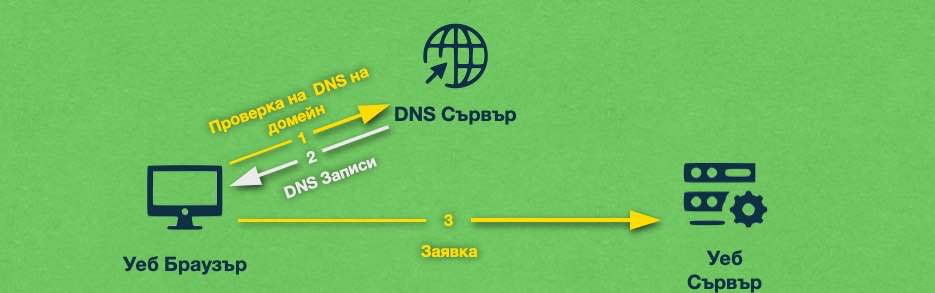 DNS записите са като пътни знаци, които пренасочват трафика от даден домейн към сървъра, който го обслужва.