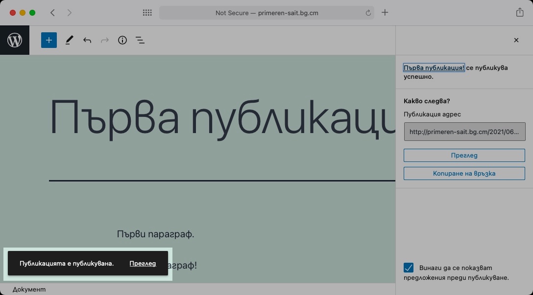 WordPress ще ви показва известие в долния ляв ъгъл всеки път когато успешно публикувате или обновите своя публикация.