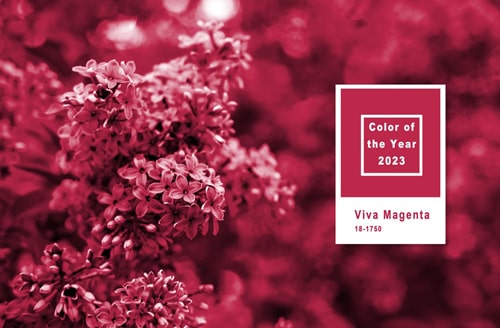 Уеб дизайн 2023: Pantone Viva Magenta e цветът на 2023 г.